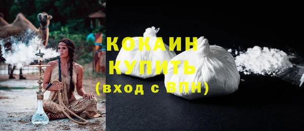 твердый Корсаков