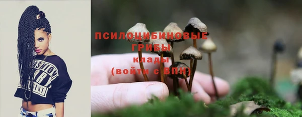 твердый Корсаков
