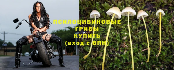 ешки Ессентукская